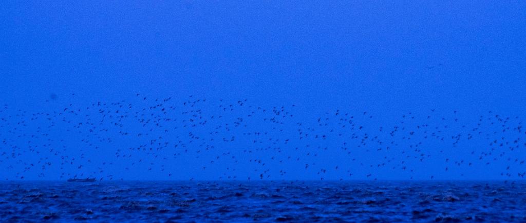 宾得穷人三宝视频,穷人三宝镜头宾得