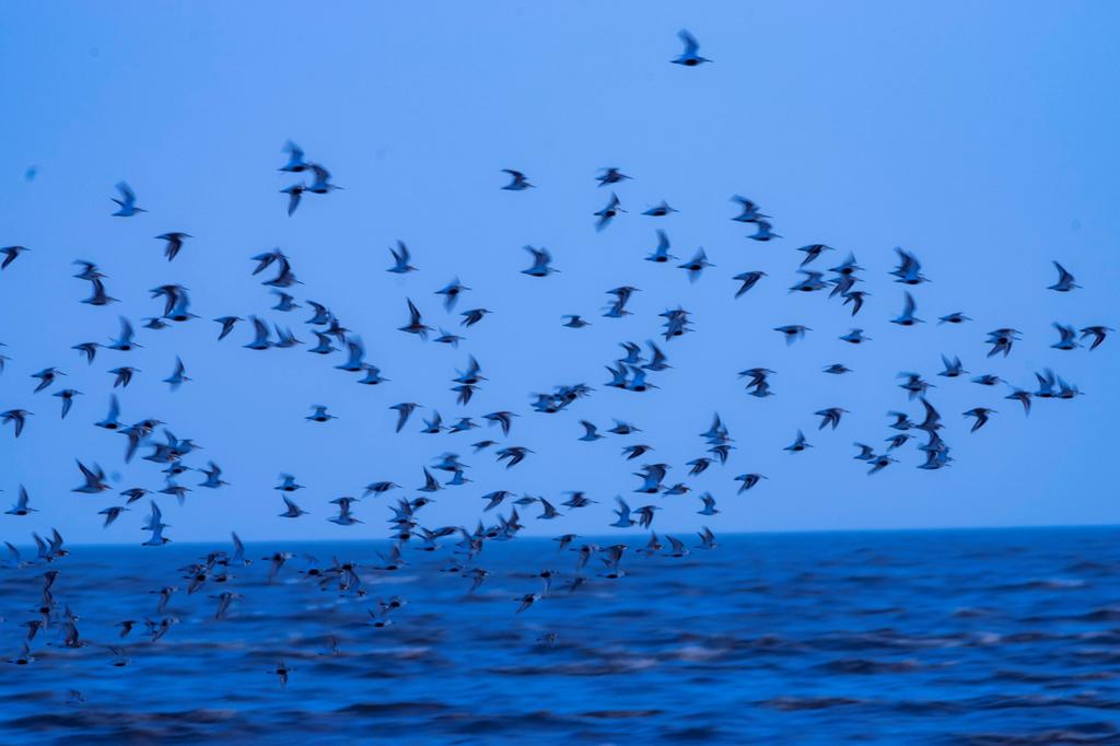 宾得穷人三宝视频,穷人三宝镜头宾得