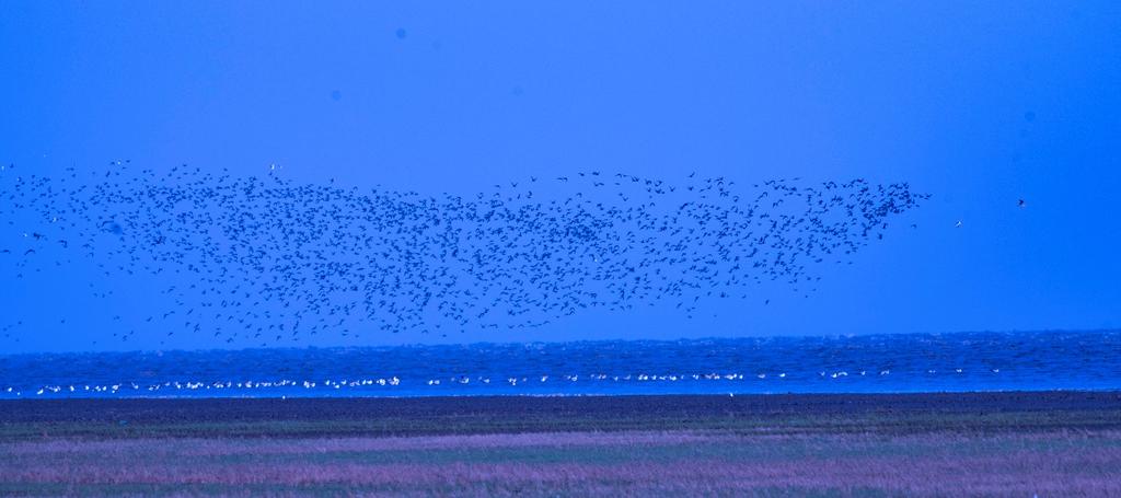 宾得穷人三宝视频,穷人三宝镜头宾得