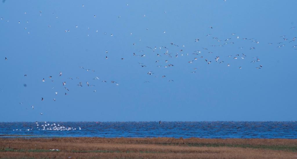 宾得穷人三宝视频,穷人三宝镜头宾得