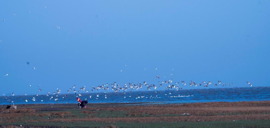 宾得穷人三宝视频,穷人三宝镜头宾得