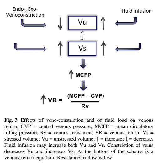 争议不断的目标导向液体治疗:那些“目标”背后的生理学