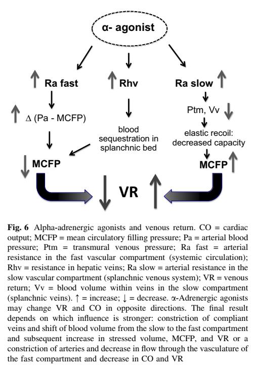 争议不断的目标导向液体治疗:那些“目标”背后的生理学