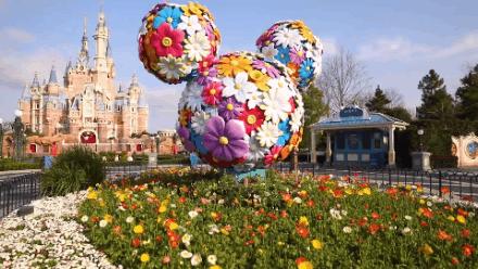 上海迪士尼免费6日游,上海迪士尼乐园中午入园门票