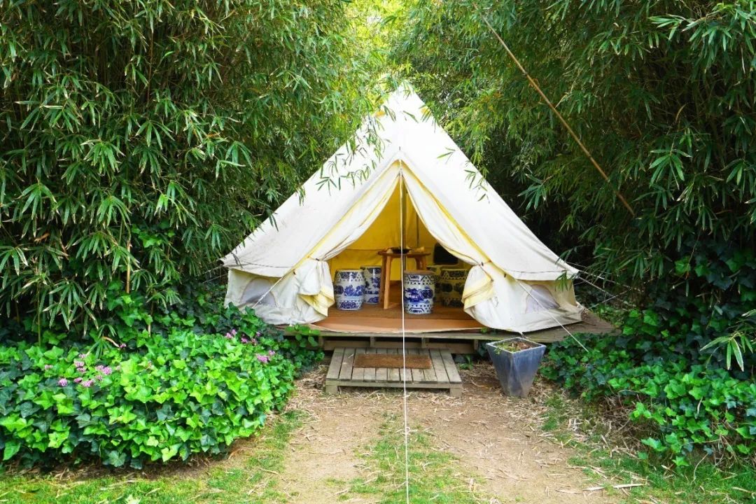 上海迪士尼免费6日游,上海迪士尼乐园中午入园门票