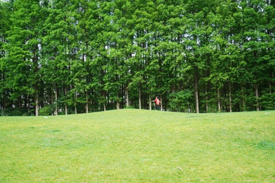 上海迪士尼免费6日游,上海迪士尼乐园中午入园门票