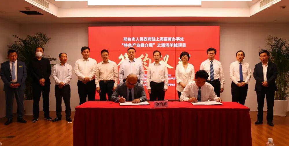 清河羊绒项目上海签约 (清河羊绒上海签约)