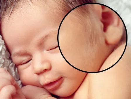 漫画科普冷知识,漫画夏天所反映了什么内容