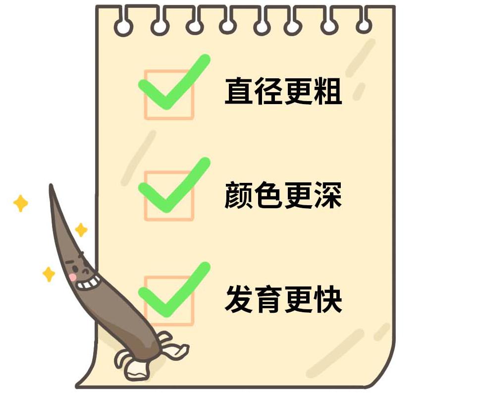 漫画科普冷知识,漫画夏天所反映了什么内容