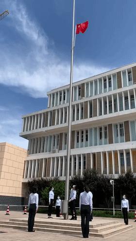 神兽归笼在学校的情景,神兽归笼的校园