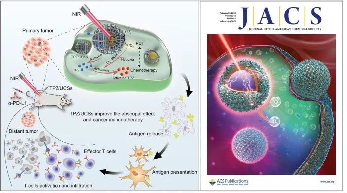 乏氧难治性癌症,乏氧肿瘤诊疗进展