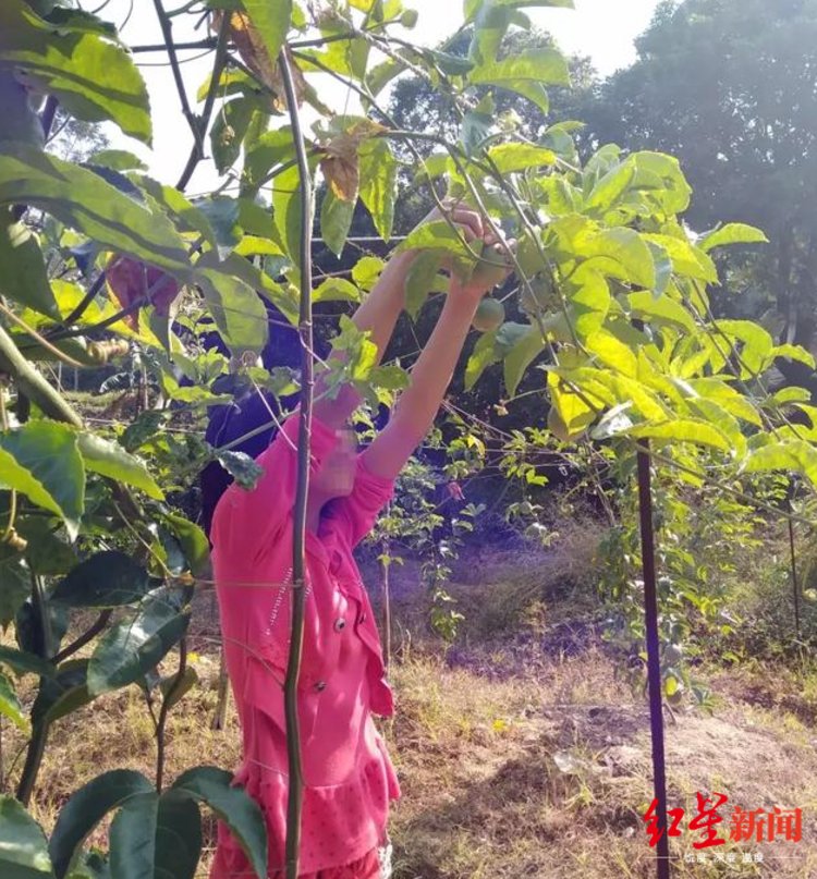 强奸并杀害幼童自首会判死刑吗,广西侵害少女二审改判死刑