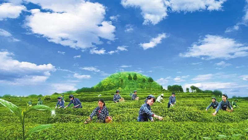 天府旅游名县创建|巴中南江:脱贫攻坚步履铿锵全域旅游持续发力