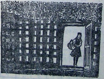 鑸屽皷涓婄殑璇枃缇庨,璇枃璇炬湰缇庨