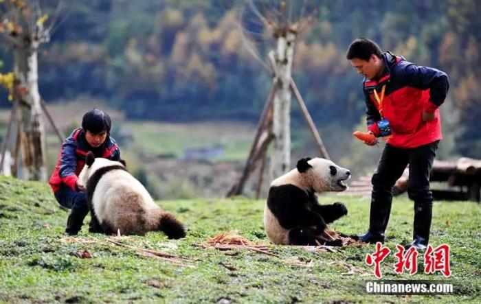 汶川地震12年回望,汶川地震10年回望