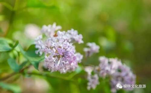 赤牛坬景区表演时间,赤牛坬景区这几天还能去玩吗