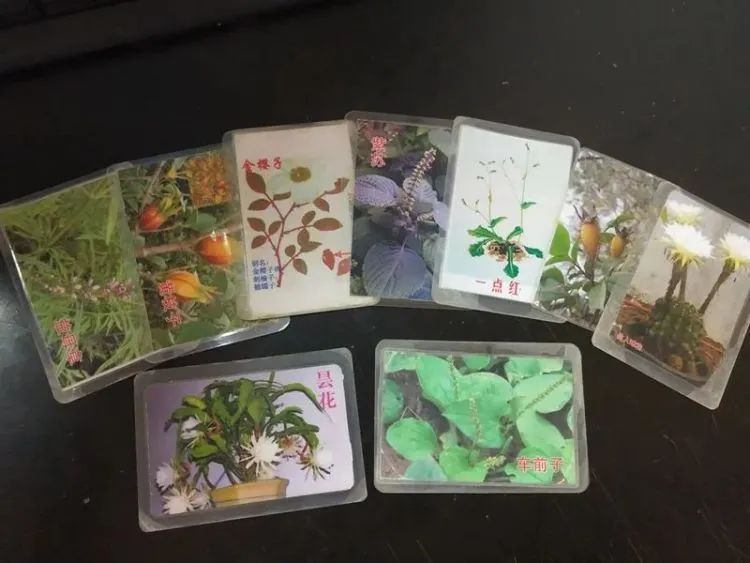 街头售卖假药被公安机关查处,黑心医院卖假药被抓