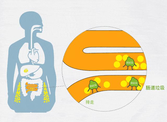 随时喝到自制酸奶,糖度随心加,肠胃它守护