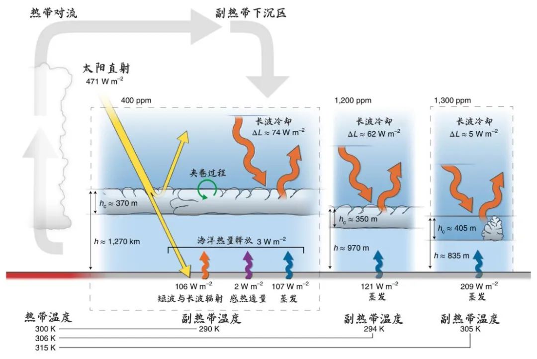 中东太平洋一发热，中国山区就降水？丨大气悟理