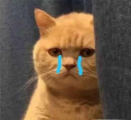 最新卫滨区新闻,卫滨区最近发生的事