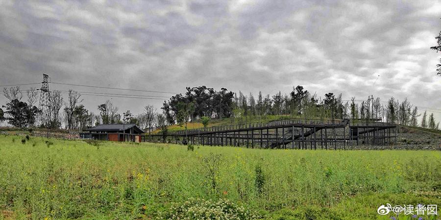 五月成都周边网红打卡地一日游,成都五月周末打卡推荐