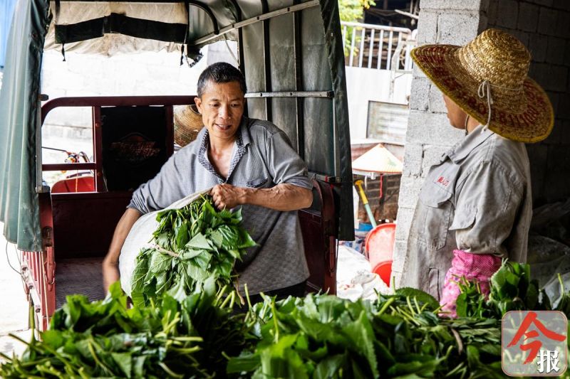 小小竹编编织乡亲致富梦,小小桑蚕织出扶贫大产业