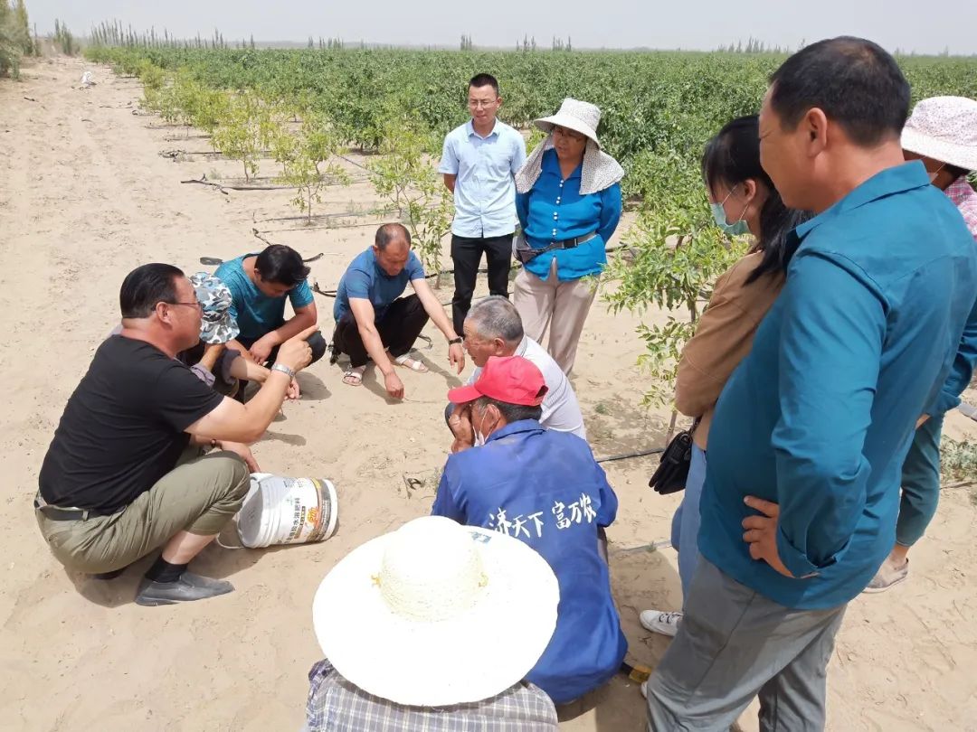 鼎天济农腐植酸制品,陕西鼎天济农腐植酸制品有限公司