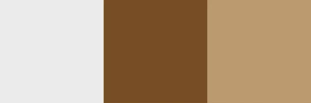 色彩趋势|2020十大流行色彩趋势与搭配指南