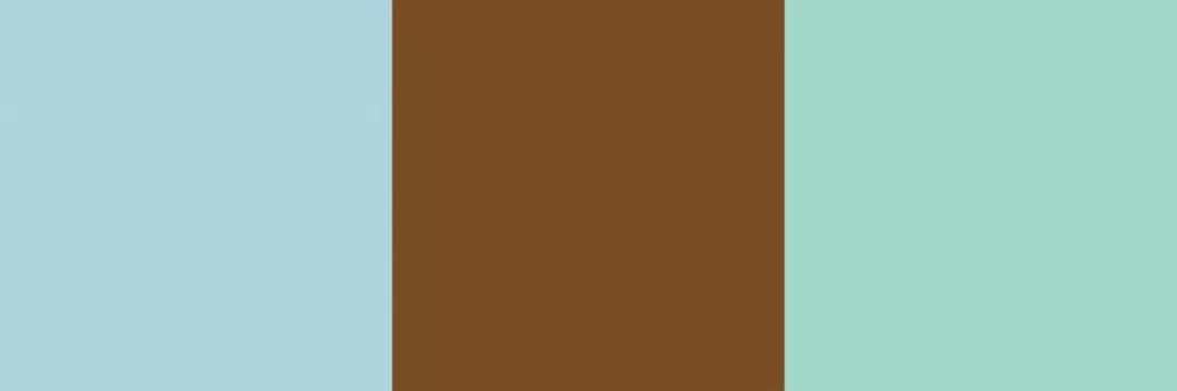 色彩趋势|2020十大流行色彩趋势与搭配指南