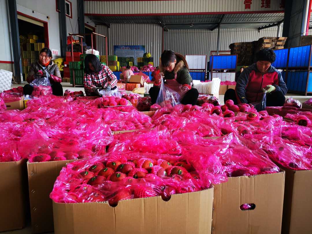 甘肃一扶,甘肃礼县一扶一带名单