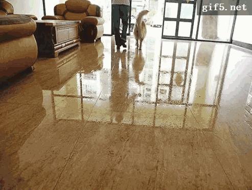 除发霉的霉菌,除霉剂真的能消除霉菌吗