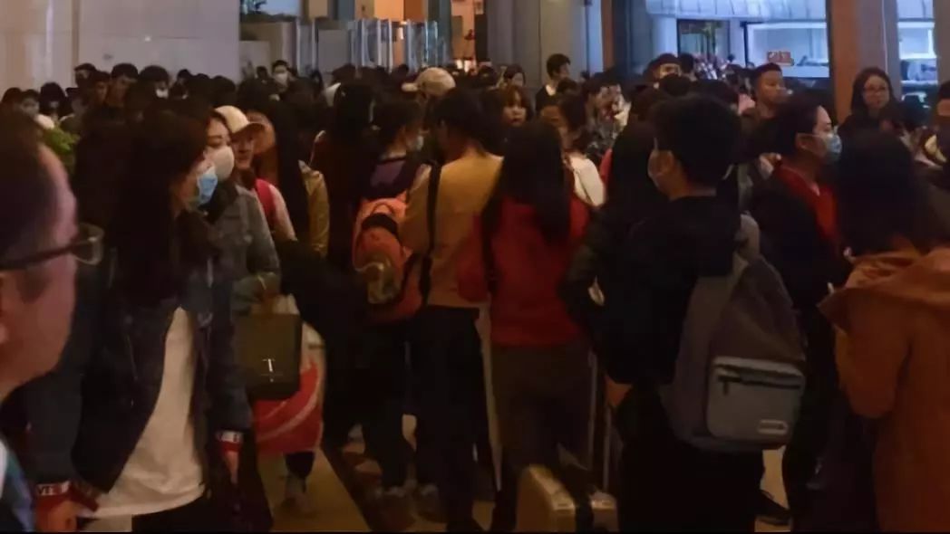 香港毛骨悚然的案件,香港早期惊悚片触目惊心