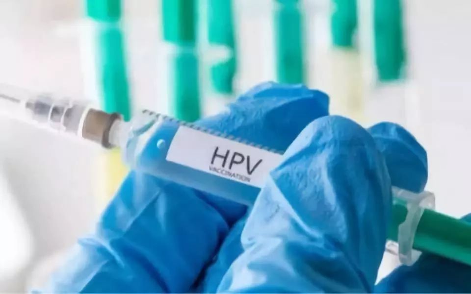 香港毛骨悚然的案件,香港早期惊悚片触目惊心