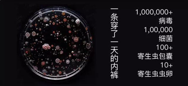 这*裤内**舒服抗菌，少买一件衣服也要换上（大牌同厂，男女都有，价格只要1/3！）