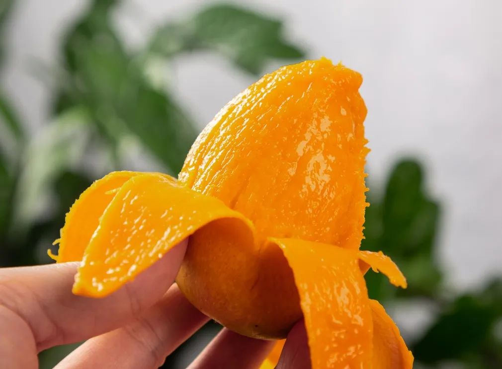 小台芒纯甜多汁1斤,台农小芒果9.9元5斤