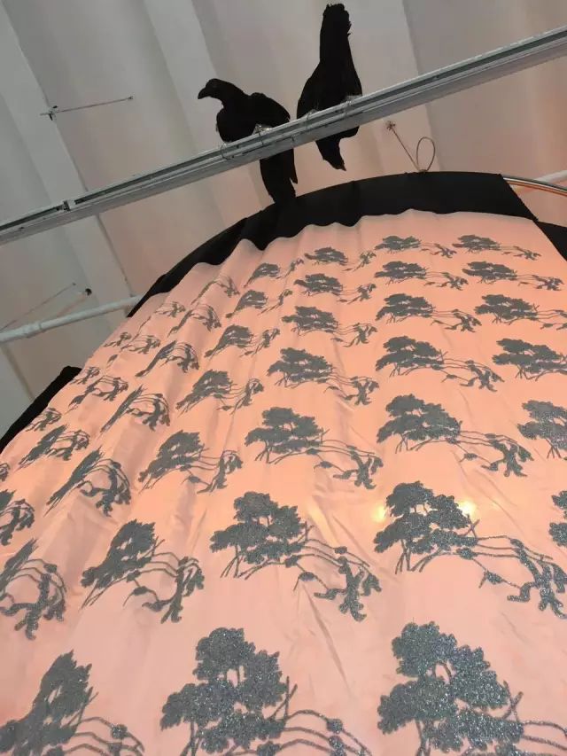 凤凰艺术|悼念肖雄：转换是一个轮回再生