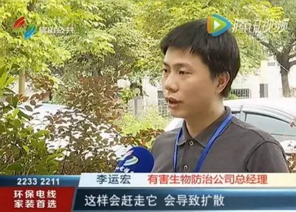 白蚁大军来袭遇到千万别盲目消杀,南宁白蚁大军最新消息