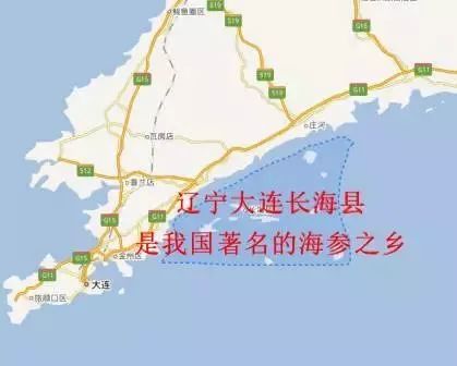 海参市场的真实现状,震惊正宗海参竟卖这么低的价格