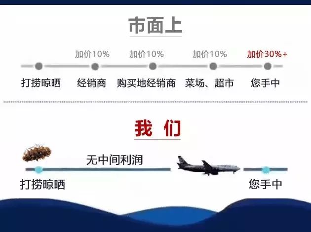 海参市场的真实现状,震惊正宗海参竟卖这么低的价格