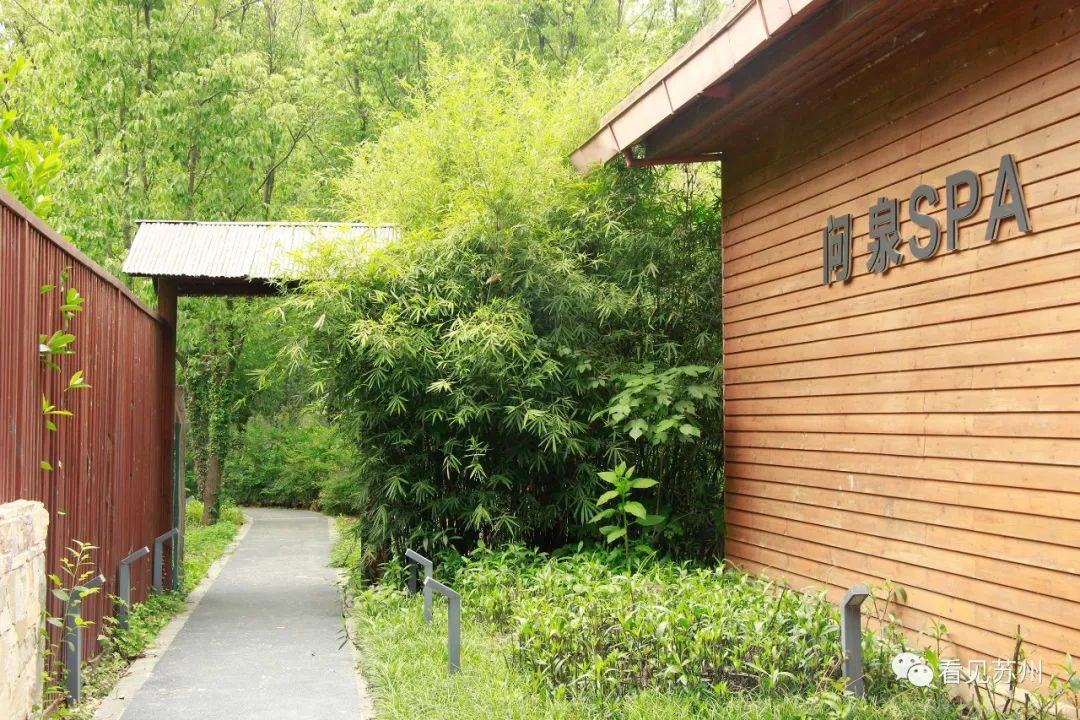 苏州森林里野奢树屋,苏州泡温泉度假的地方推荐