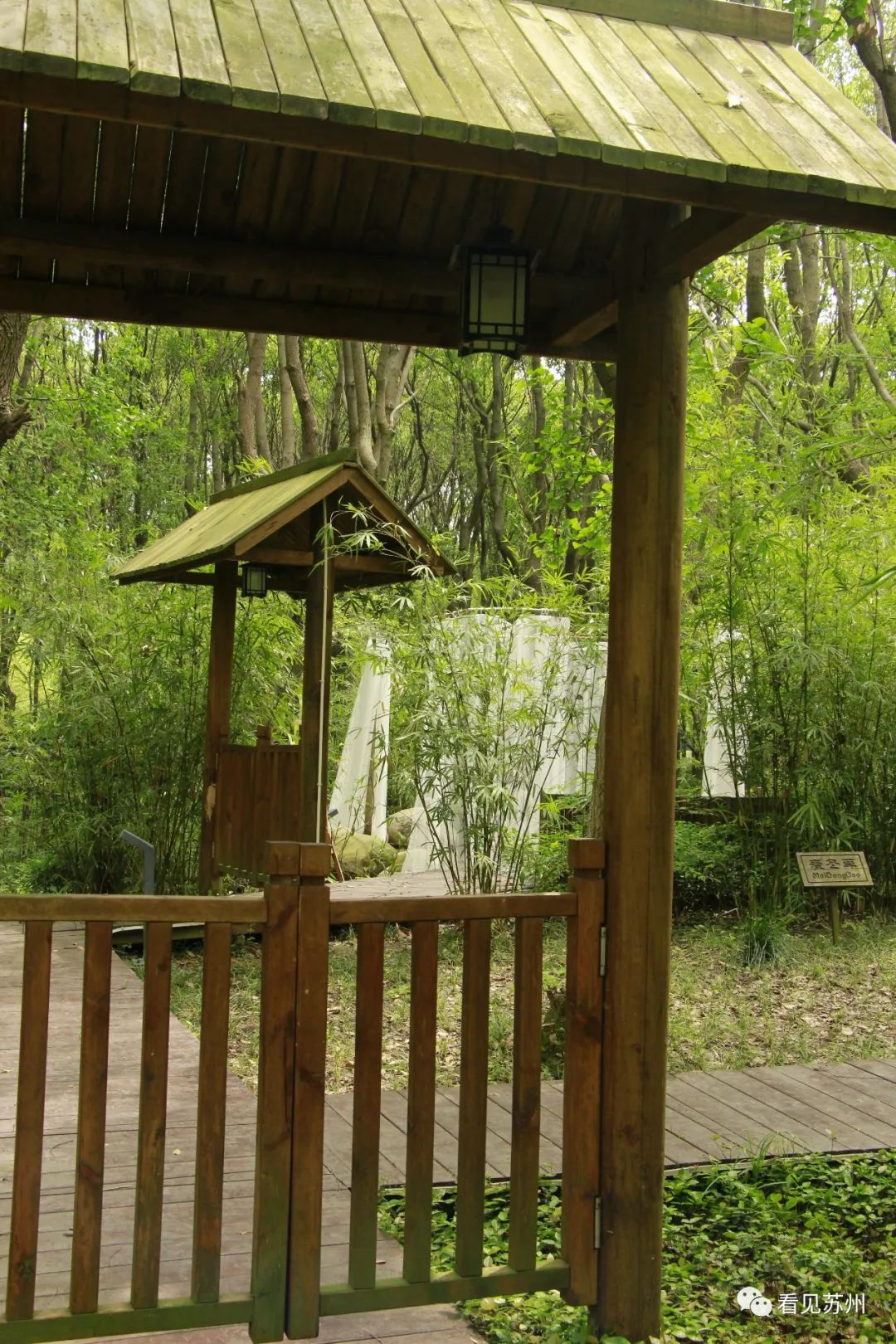 苏州森林里野奢树屋,苏州泡温泉度假的地方推荐