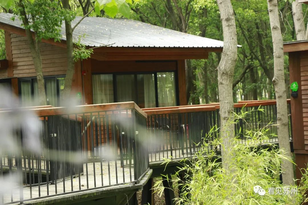 苏州森林里野奢树屋,苏州泡温泉度假的地方推荐