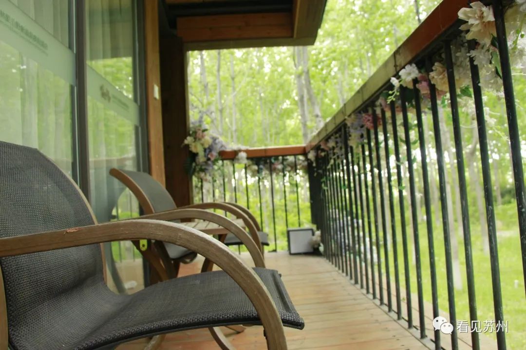 苏州森林里野奢树屋,苏州泡温泉度假的地方推荐