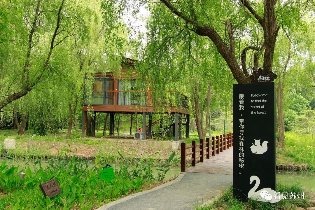 苏州森林里野奢树屋,苏州泡温泉度假的地方推荐