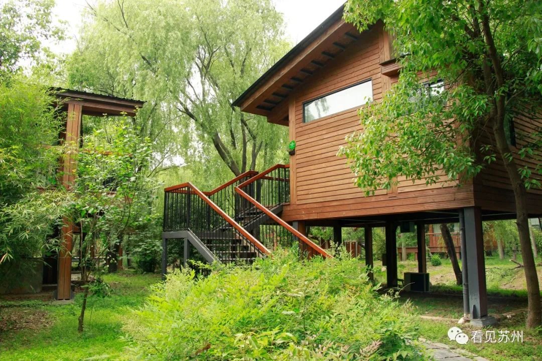 苏州森林里野奢树屋,苏州泡温泉度假的地方推荐