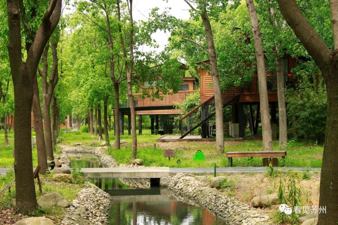 苏州森林里野奢树屋,苏州泡温泉度假的地方推荐