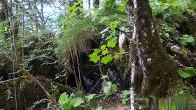 天气升温猴子们,天气变冷一群猴子抱团取暖