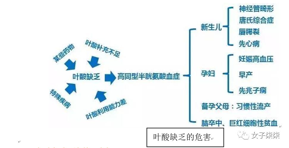 男人吃叶酸对备孕有帮助吗,备孕最重要的几件事越早知道越好
