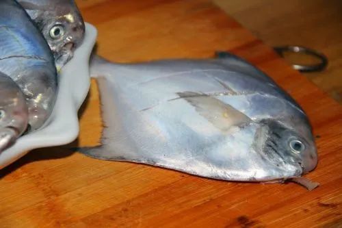 海产行业的前景分析图解,海产行业的发展趋势是什么呢