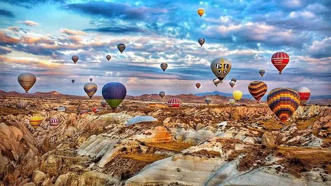 大美生活直播季|与众多专家一起寻回生活美学